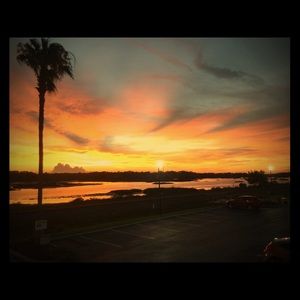 Meet your Posher, Morgan